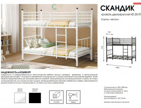 Кровать двухъярусная Скандик 42.20-01 в Еманжелинске - emanzhelinsk.mebel74.com | фото 2