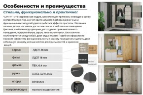 Прихожая Санти Белый/Дуб Крафт Золотой в Еманжелинске - emanzhelinsk.mebel74.com | фото 3