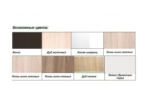 Шкаф-купе Хит 22-4-12-55 с разделителями в Еманжелинске - emanzhelinsk.mebel74.com | фото 2