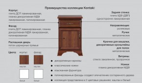 Спальня Кентаки каштан в Еманжелинске - emanzhelinsk.mebel74.com | фото 2