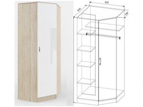 СШУ860.1 Шкаф угловой в Еманжелинске - emanzhelinsk.mebel74.com | фото